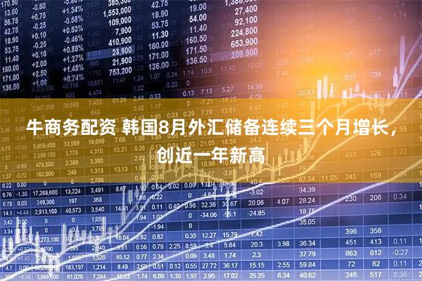 牛商务配资 韩国8月外汇储备连续三个月增长，创近一年新高