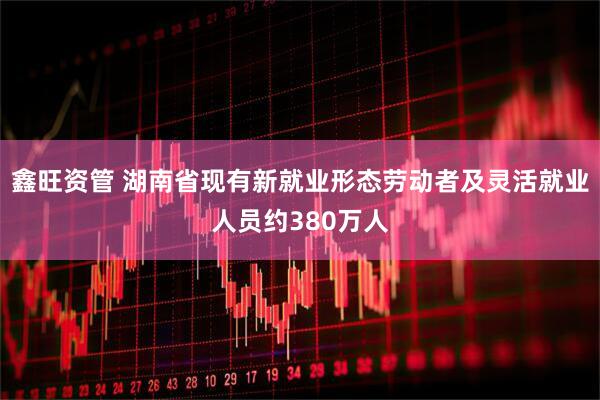 鑫旺资管 湖南省现有新就业形态劳动者及灵活就业人员约380万人