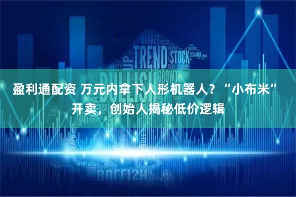 盈利通配资 万元内拿下人形机器人？“小布米” 开卖，创始人揭秘低价逻辑