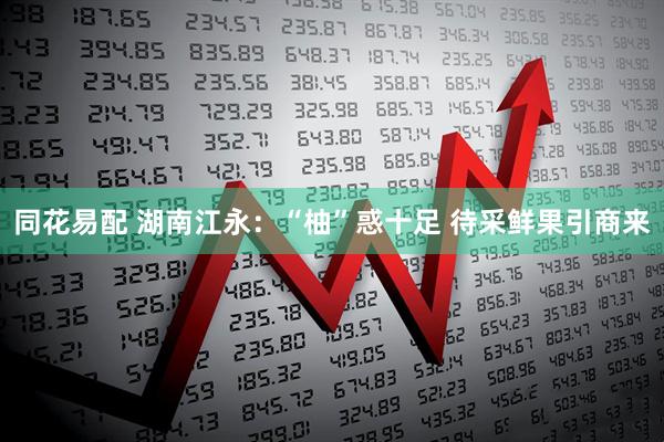 同花易配 湖南江永：“柚”惑十足 待采鲜果引商来