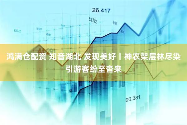 鸿满仓配资 知音湖北 发现美好丨神农架层林尽染引游客纷至沓来