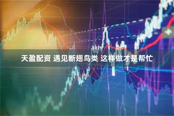 天盈配资 遇见断翅鸟类 这样做才是帮忙