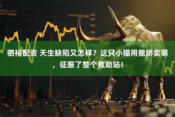 驷裕配资 天生缺陷又怎样？这只小猫用撒娇卖萌，征服了整个救助站！