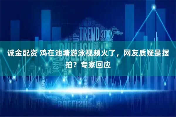 诚金配资 鸡在池塘游泳视频火了，网友质疑是摆拍？专家回应