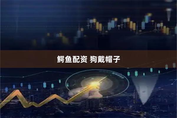 鳄鱼配资 狗戴帽子