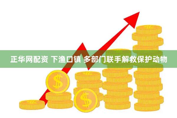 正华网配资 下渔口镇 多部门联手解救保护动物