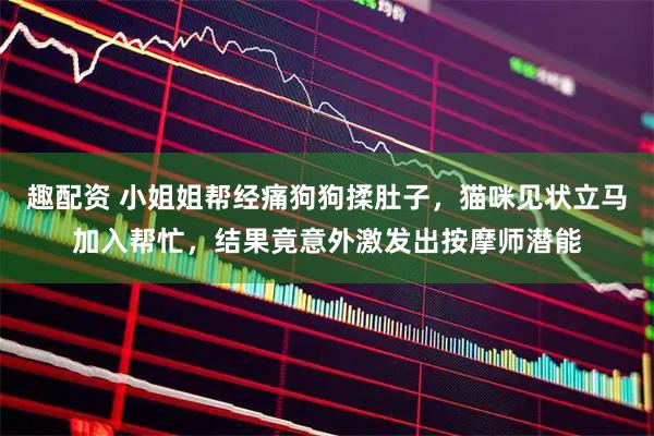 趣配资 小姐姐帮经痛狗狗揉肚子，猫咪见状立马加入帮忙，结果竟意外激发出按摩师潜能