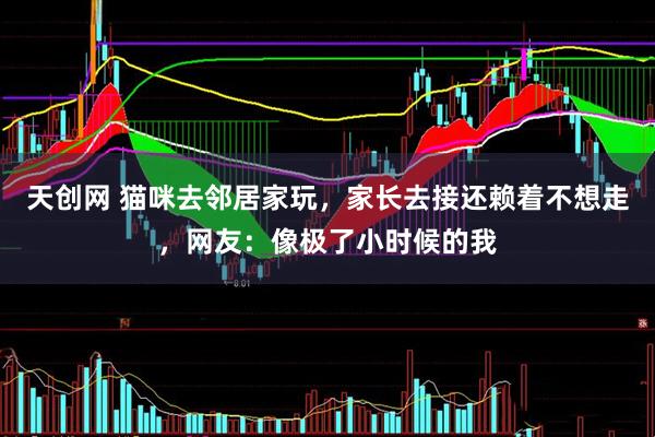 天创网 猫咪去邻居家玩，家长去接还赖着不想走，网友：像极了小时候的我