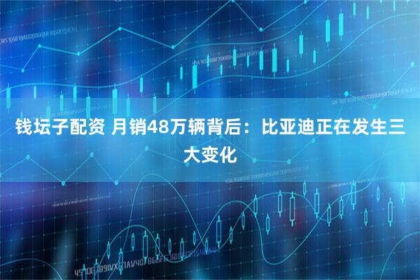 钱坛子配资 月销48万辆背后：比亚迪正在发生三大变化