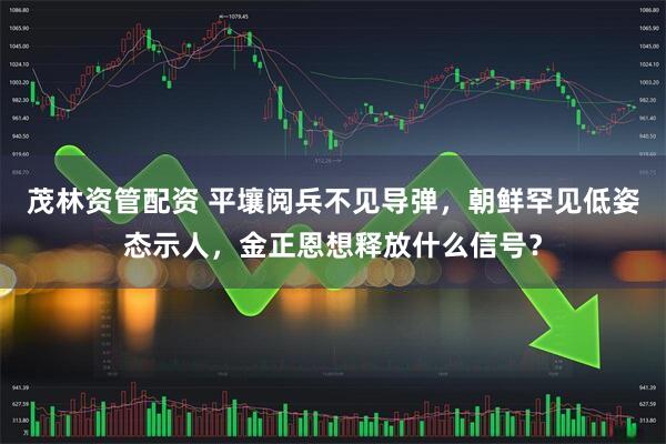 茂林资管配资 平壤阅兵不见导弹，朝鲜罕见低姿态示人，金正恩想释放什么信号？